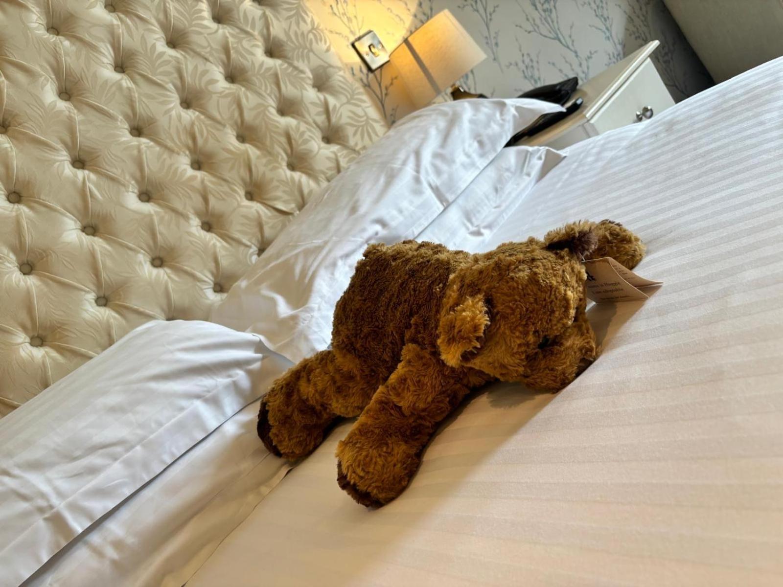 Sanquhar Blackaddie House Hotel מראה חיצוני תמונה