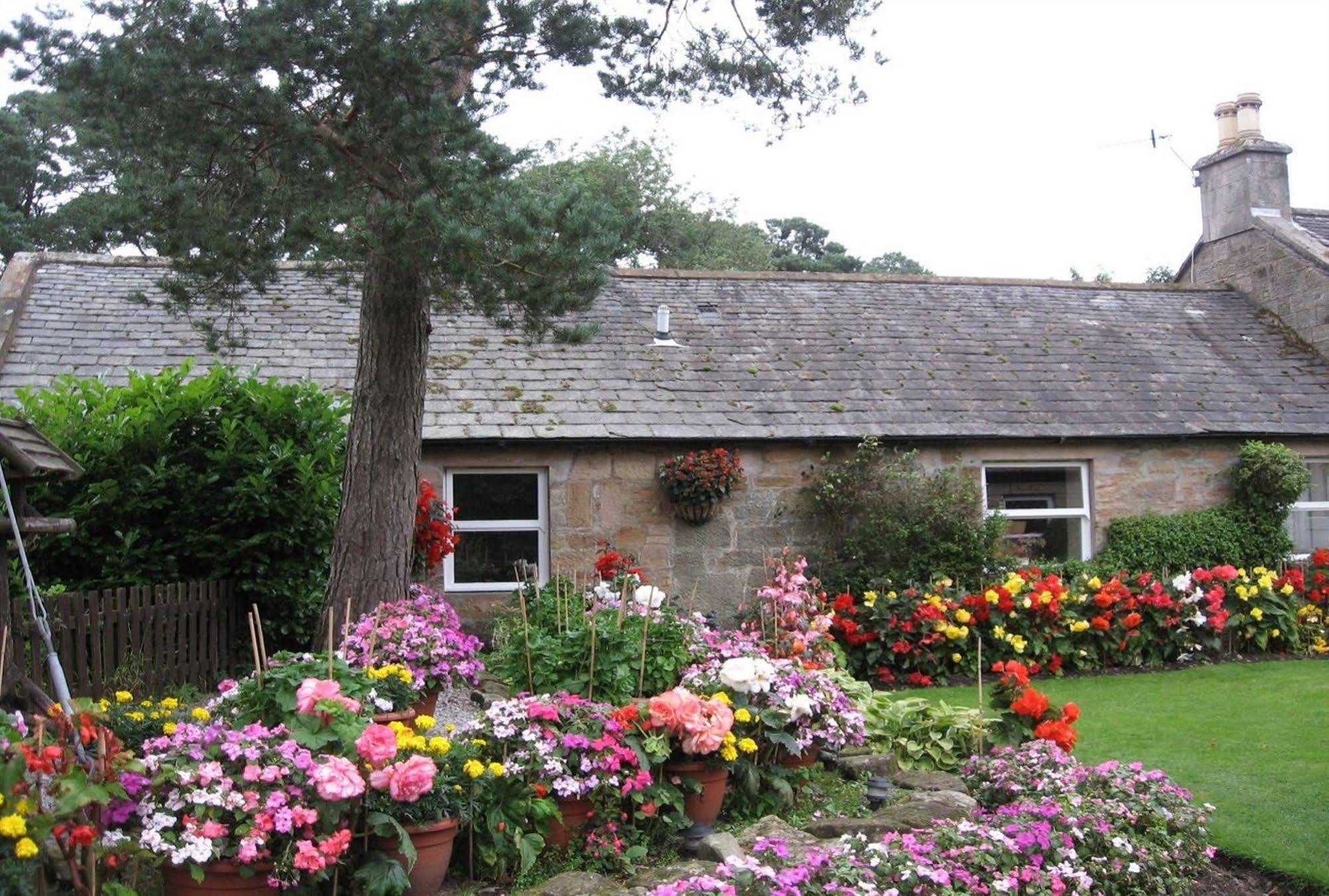 Sanquhar Blackaddie House Hotel מראה חיצוני תמונה